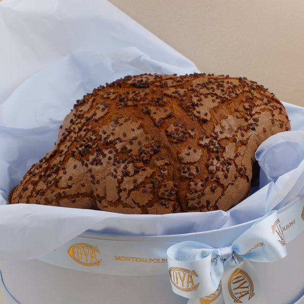 Colomba al Cioccolato in Cappelliera
